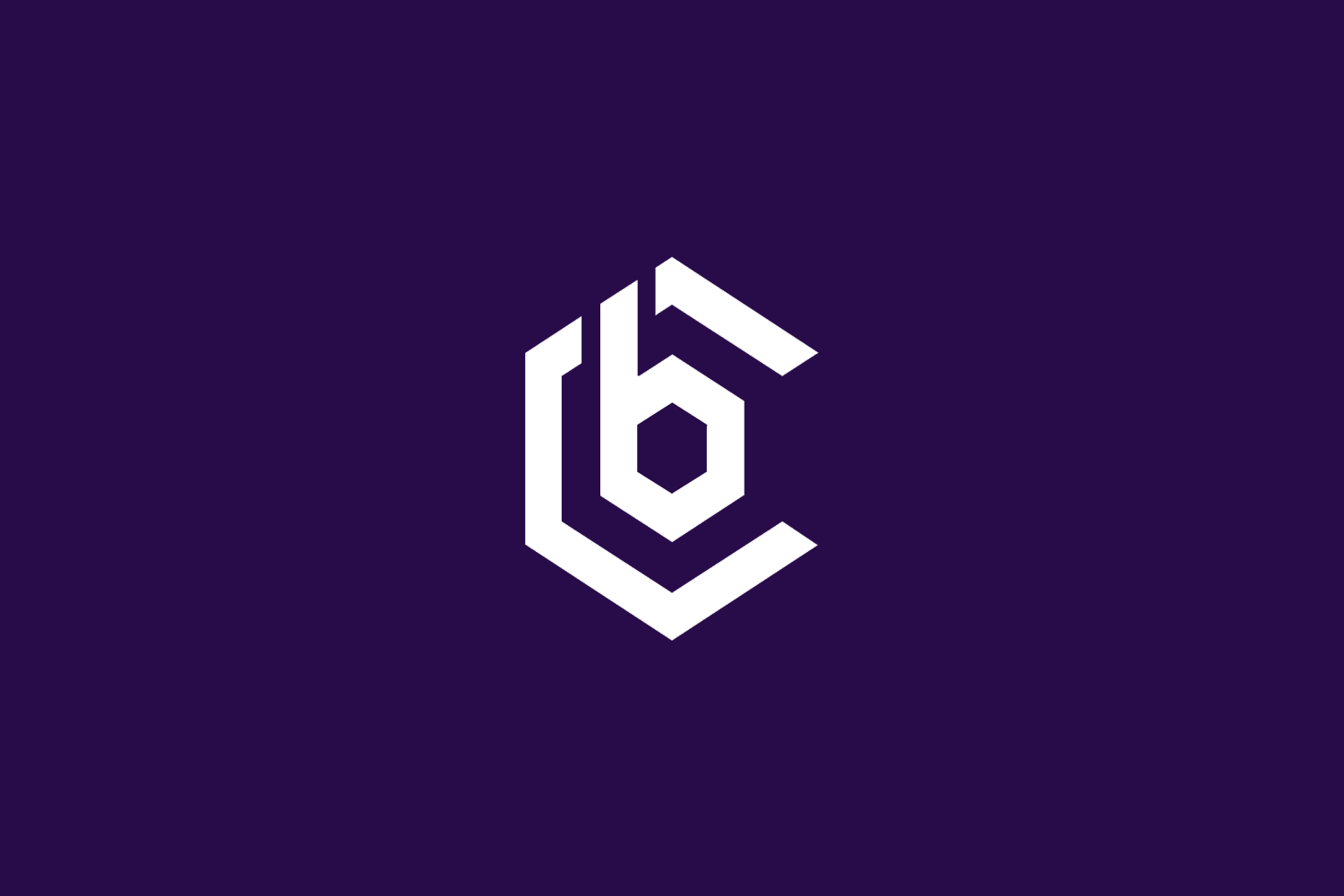 BC : Rogue Company